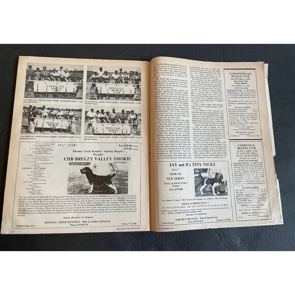Vintage September 1987 Hounds & Hunting – Beagles in Print Vol. 84 Magazine - Picture 4 of 7